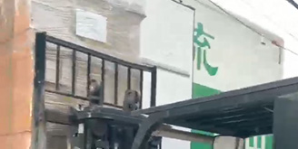 Packing of Plastic Bottle