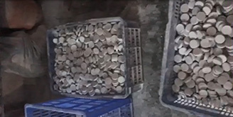 Packing of Plastic Bottle