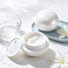 Neues Design 50 ml Augencreme Hautpflege Creme Lippenbalsam Gesichts&ouml;l Feuchtigkeitscreme Serum Gesichtscreme Kunststoff Kosmetikdose
